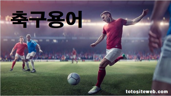 배트맨토토-프로토-축구용어-홈페이지 안전놀이터 토토사이트웹