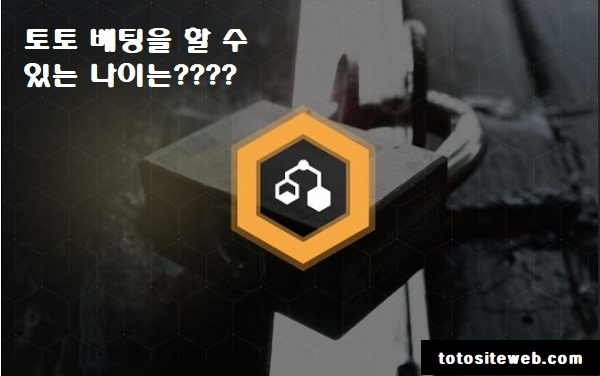 스포츠토토-베팅을-하려면-몇-살이어야-할까요-토토사이트웹 totositeweb.com