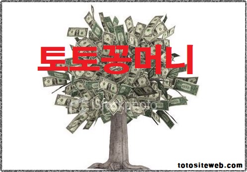 토토사이트-꽁머니-토토꽁머니 안전놀이터 토토사이트웹