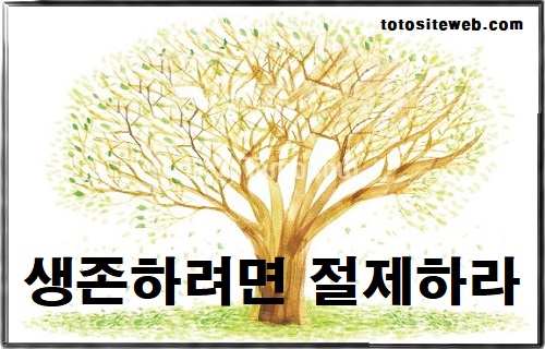 토토사이트-프로토-베팅법-16편-절제 스포츠토토 토토사이트웹
