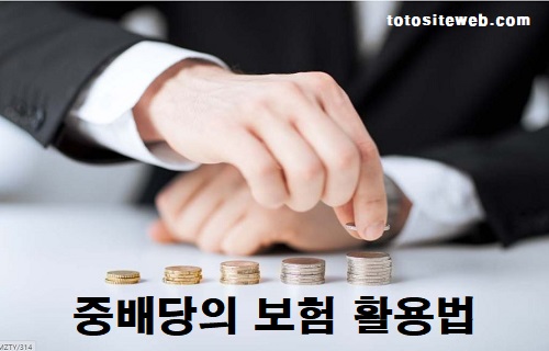 토토사이트-프로토-베팅법-8편-중배당보험활용 스포츠토토 토토사이트웹