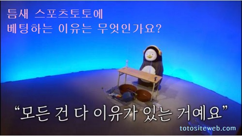 토토사이트에-베팅할-수-있는-틈새-스포츠-틈새베팅이유-토토사이트웹 totositeweb.com